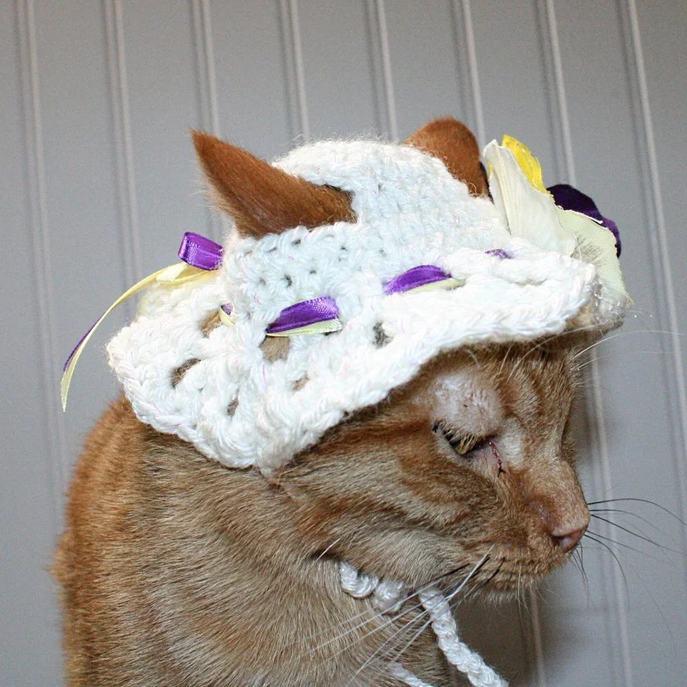 HAND CRAFTED Crochet White Pansy Bonnet Cat Hat Costume Photo Prop